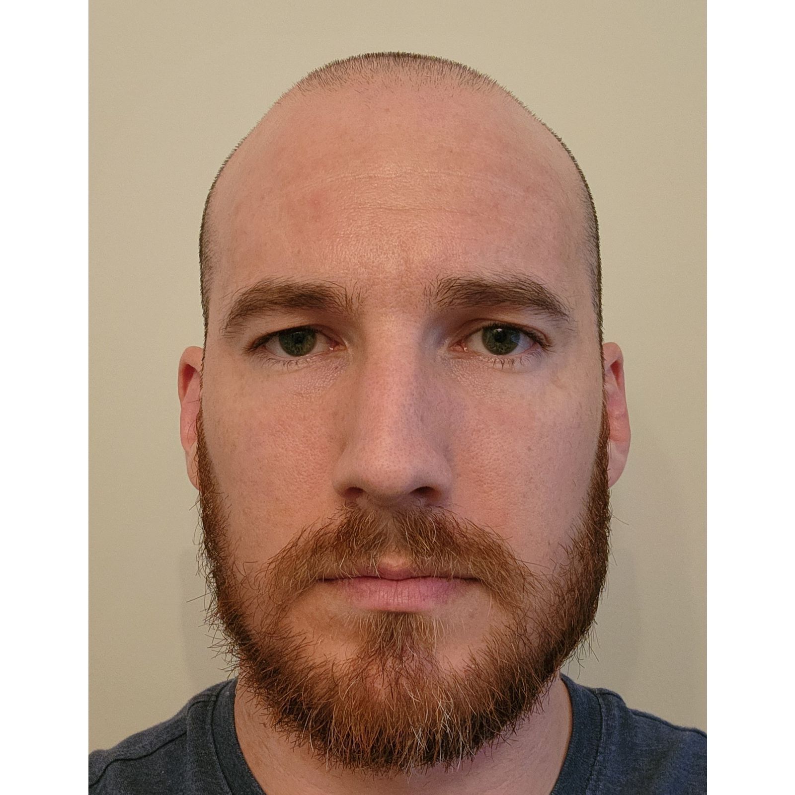 American Premier Soccer League american-premier-soccer-league